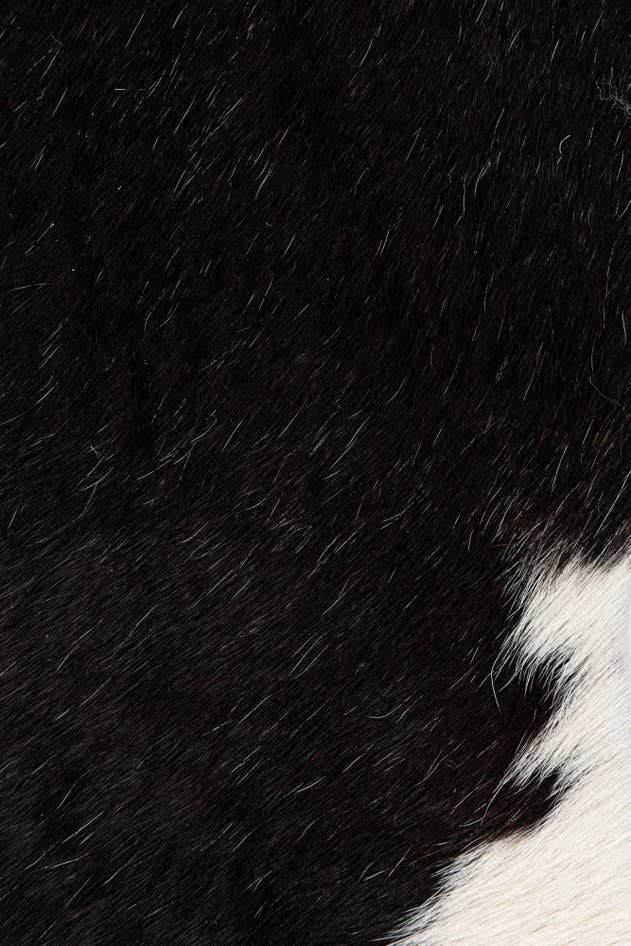 Detail image of 1' 8 x 2' 7 Cowhide Leather Rug