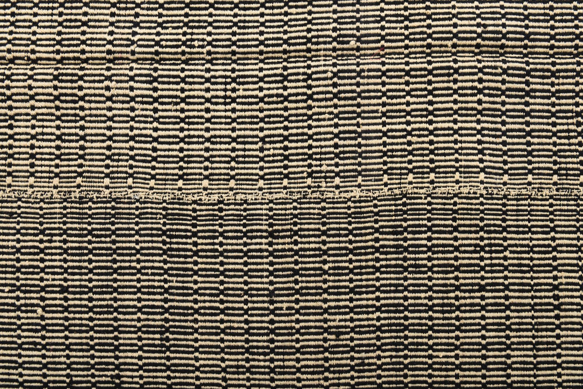 9' 1 x 11' 3 Hand Knotted Darya Wool Rug