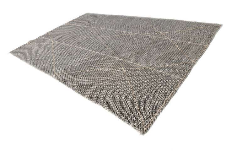 9' 9 x 14' 3 Hand Knotted Darya Wool Rug