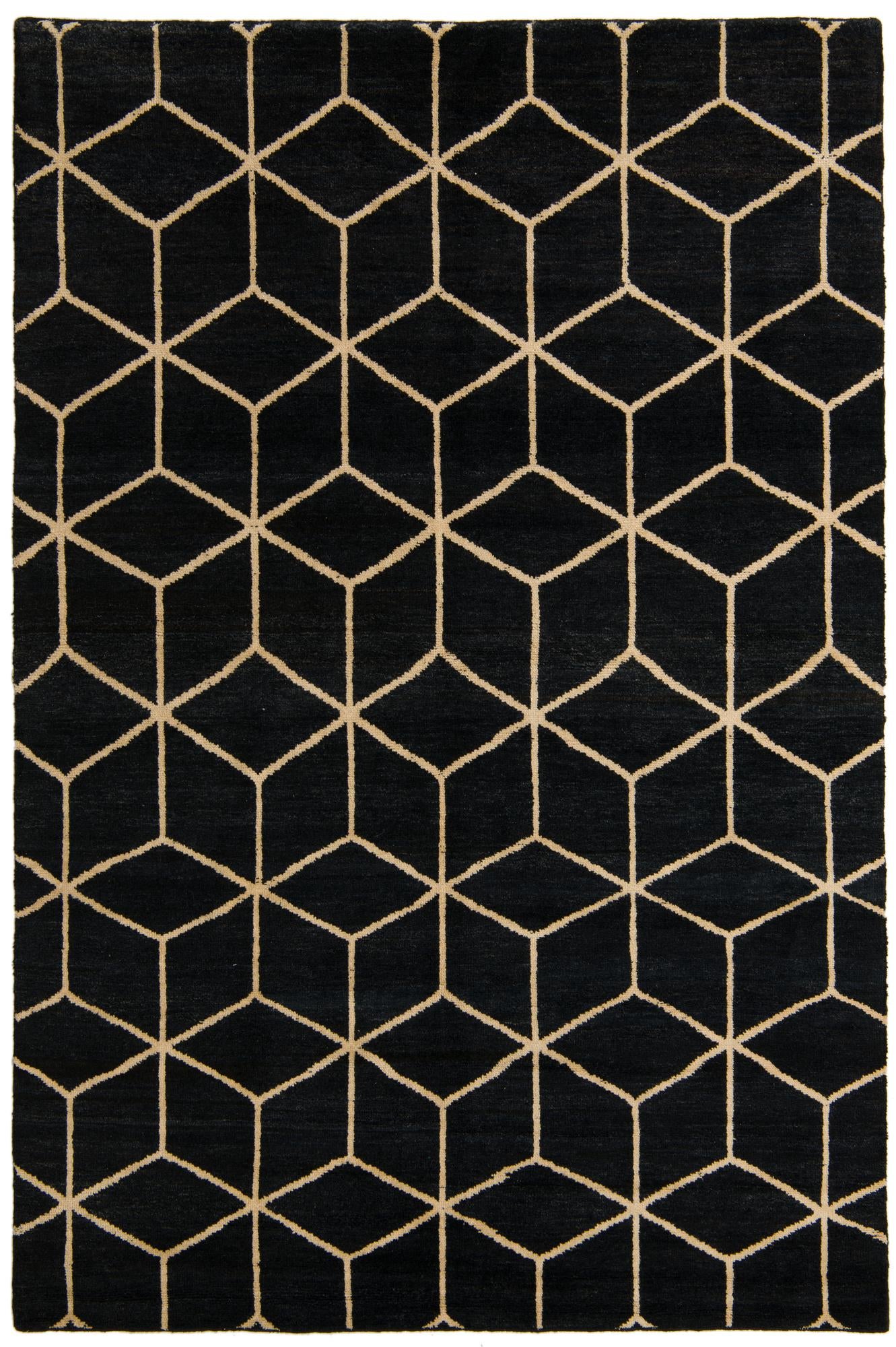 6' 7 x 9' 9 Hand Knotted Darya Wool Rug
