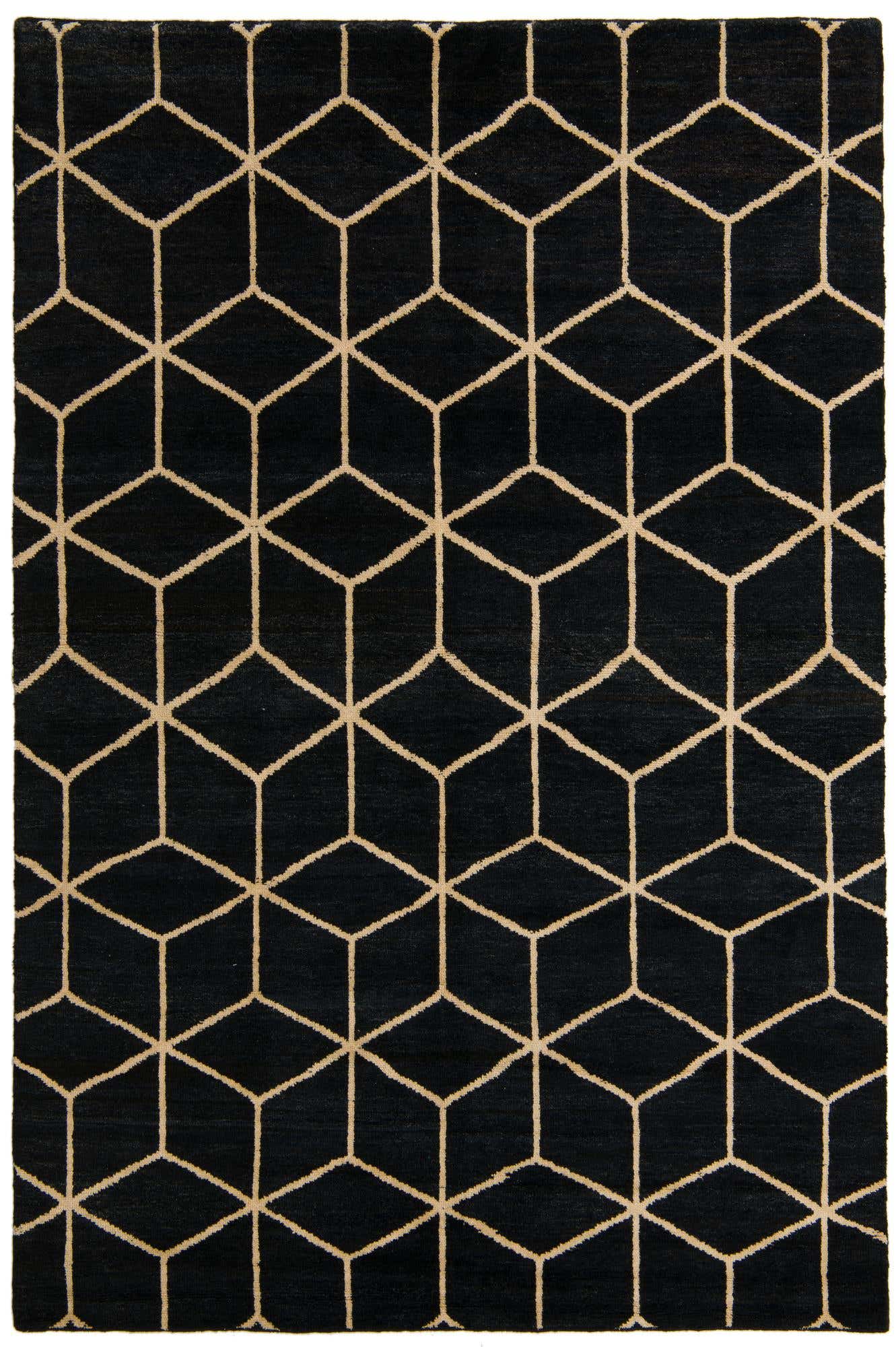 6' 7 x 9' 9 Hand Knotted Darya Wool Rug