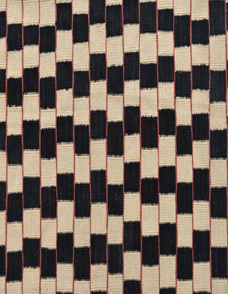 Detail image of 6' 2 x 9' 7  Hand Woven Kilim Modern Wool Rug