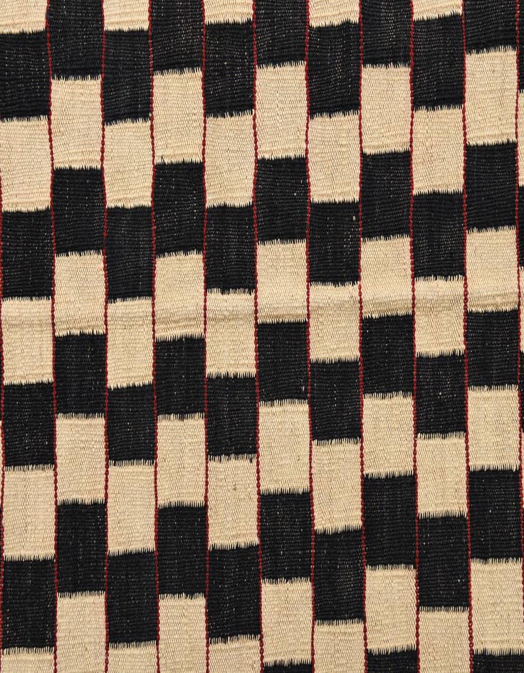 Detail image of 5' x 6' 3  Hand Woven Kilim Modern Wool Rug