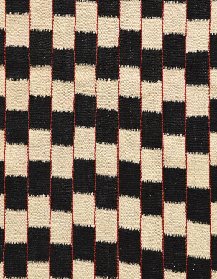 Detail image of 6' 6 x 9' 6  Hand Woven Kilim Modern Wool Rug