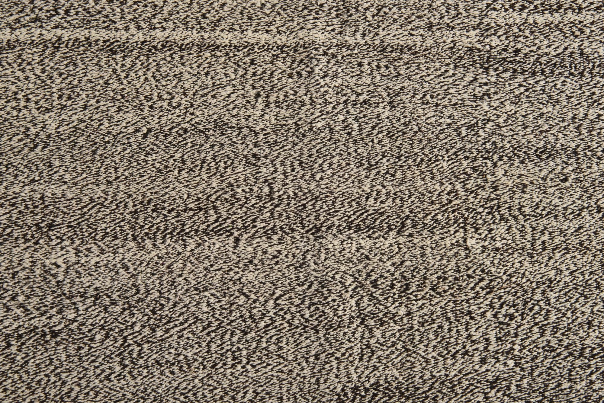 9' 1 x 11' 1 Hand Woven Kilim Modern Wool Rug