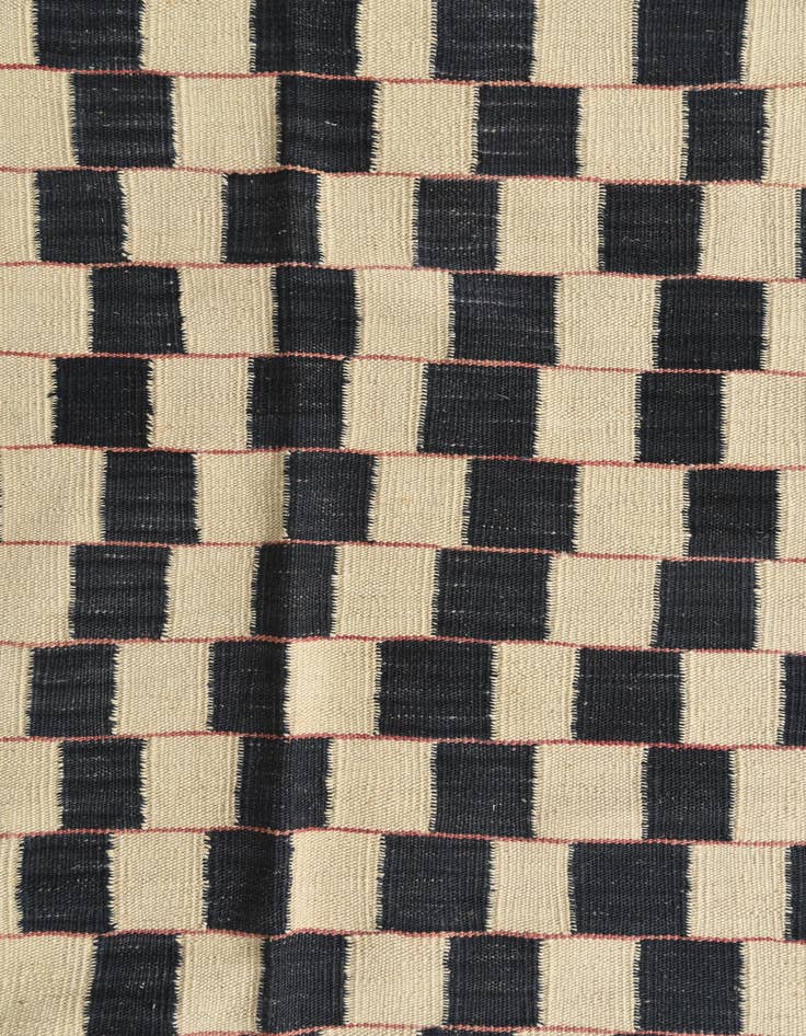 Detail image of 6' 9 x 9' 5  Hand Woven Kilim Modern Wool Rug
