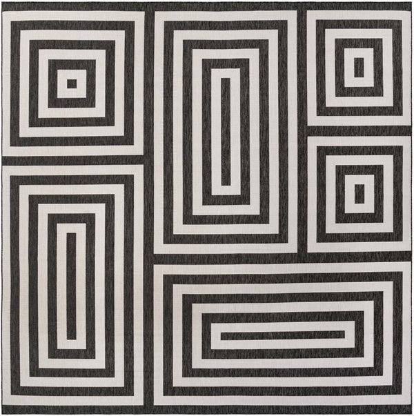 Delaney rug