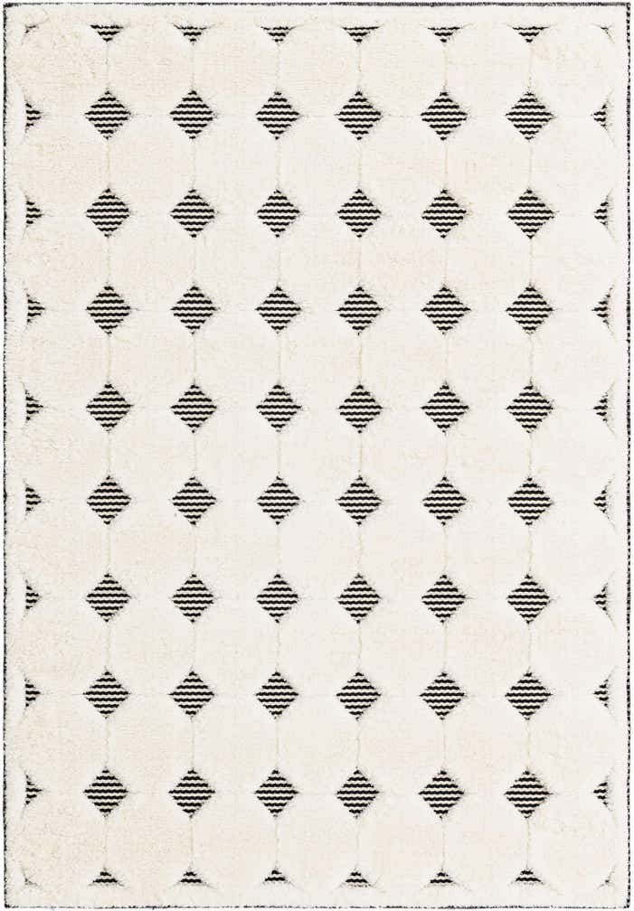 4' x 6' Prismatic Rug