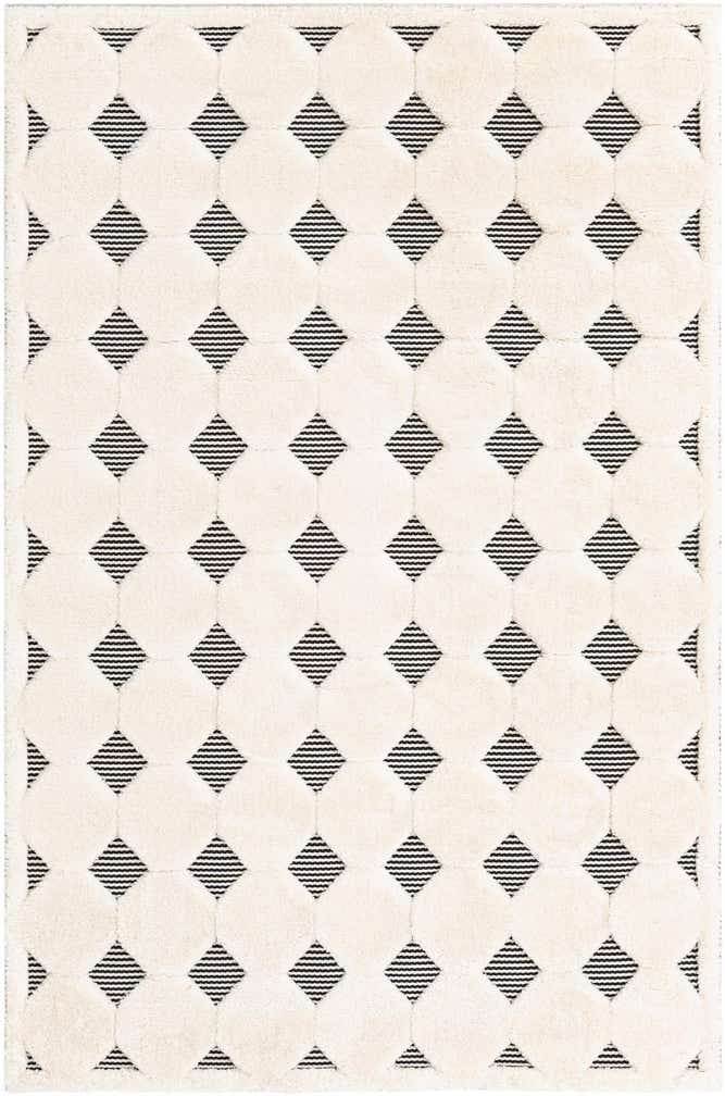 5' 3 x 8' Prismatic Rug