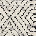 Rug Black and White Swatch link