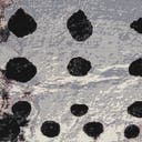 Color variant