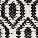 Rug Black and White Swatch link