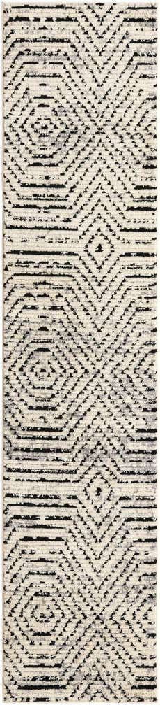 2' 7 x 12' Tagine Runner Rug