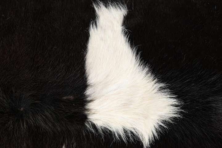 4' 10 x 4' 10 Cowhide Leather Square Rug