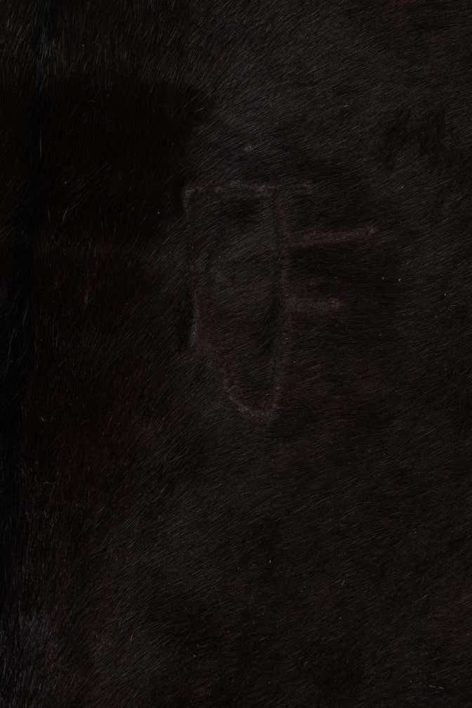 6' x 6' 2 Cowhide Leather Square Rug
