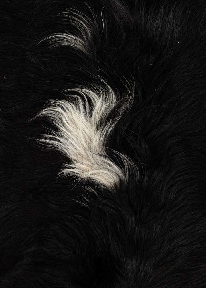6' 10 x 7' Cowhide Leather Square Rug