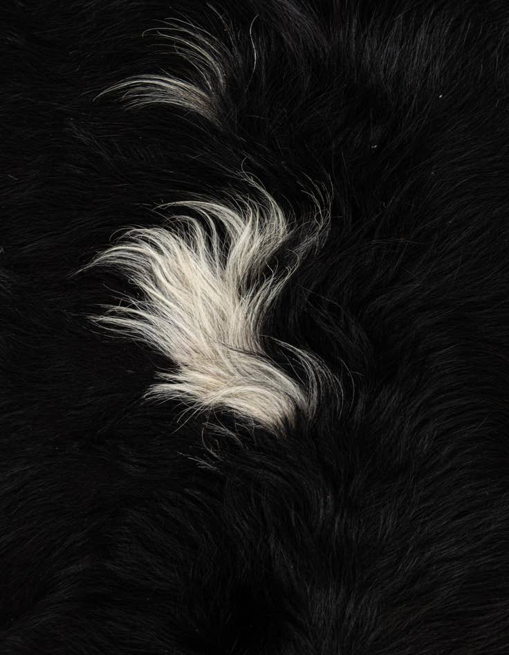 Detail image of 6' 10 x 7' Cowhide Leather Square Rug