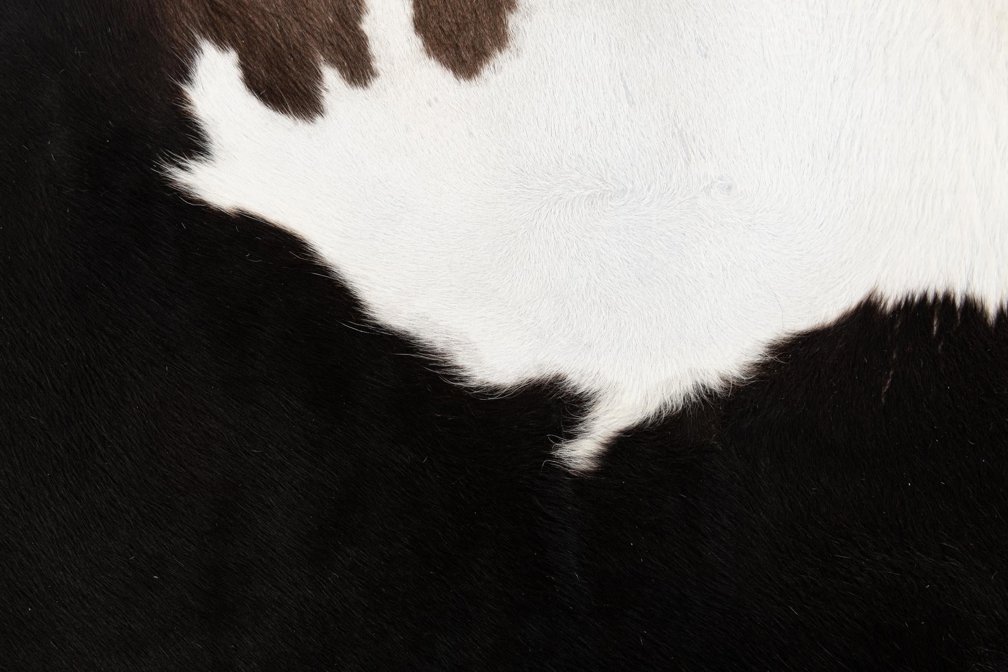 6' 5 x 6' 8 Cowhide Leather Square Rug