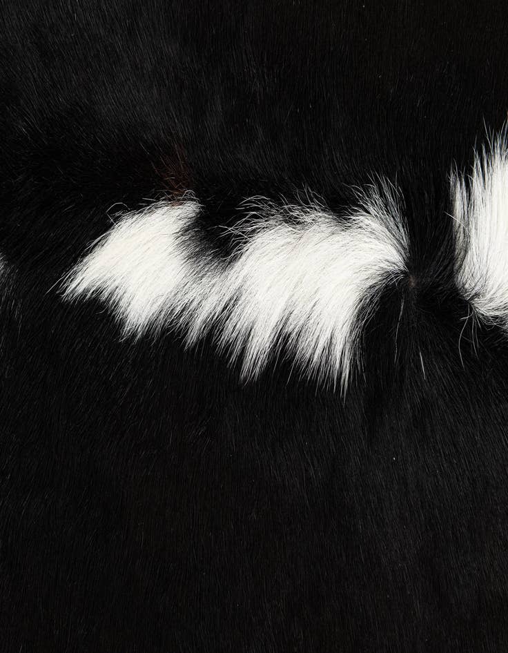 Detail image of 5' 11 x 6' 4 Cowhide Leather Square Rug