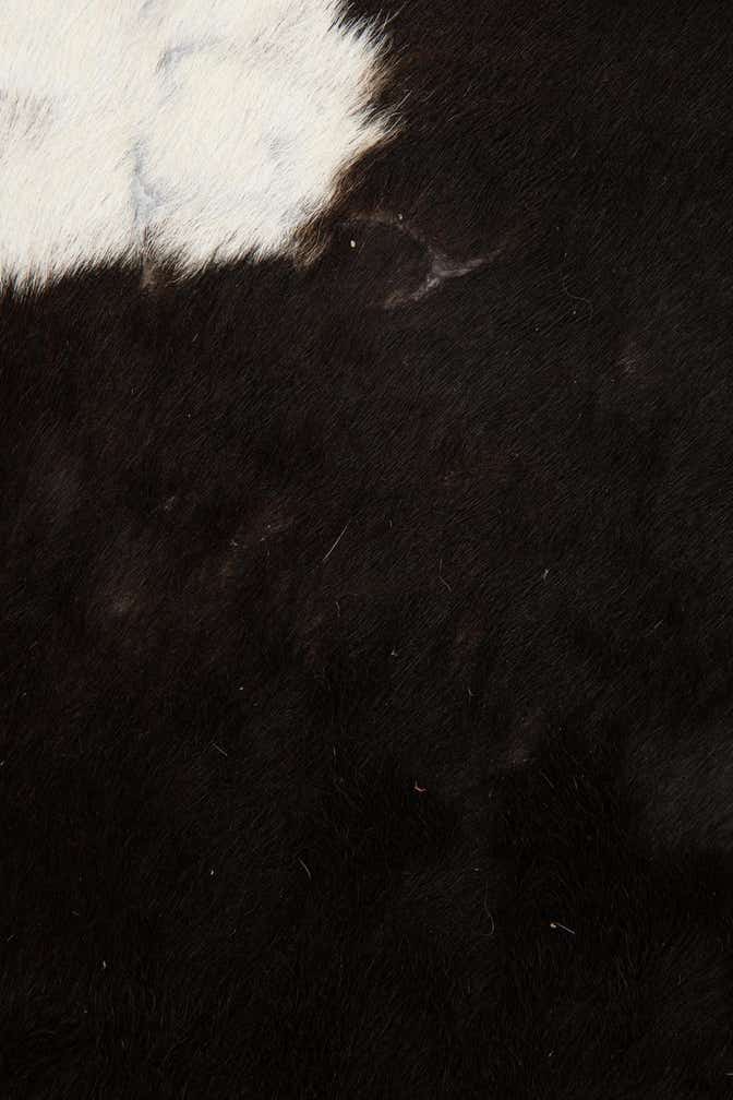 6' 5 x 6' 8 Cowhide Leather Square Rug
