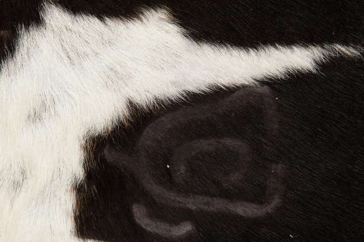 6' 5 x 6' 8 Cowhide Leather Square Rug