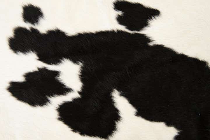 5' 11 x 6' 1 Cowhide Leather Square Rug