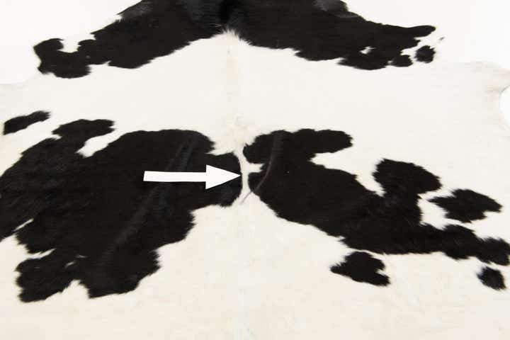 5' 11 x 6' 1 Cowhide Leather Square Rug