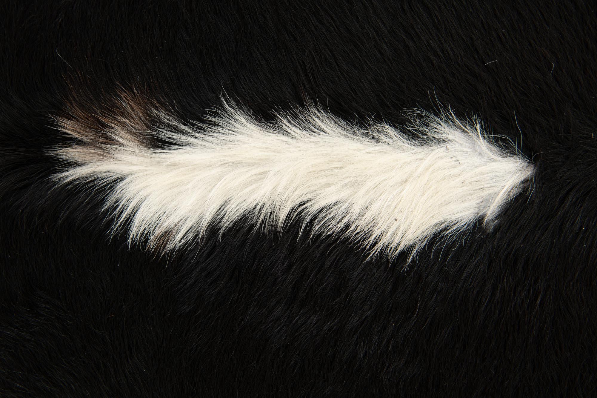 6' 4 x 6' 8 Cowhide Leather Square Rug