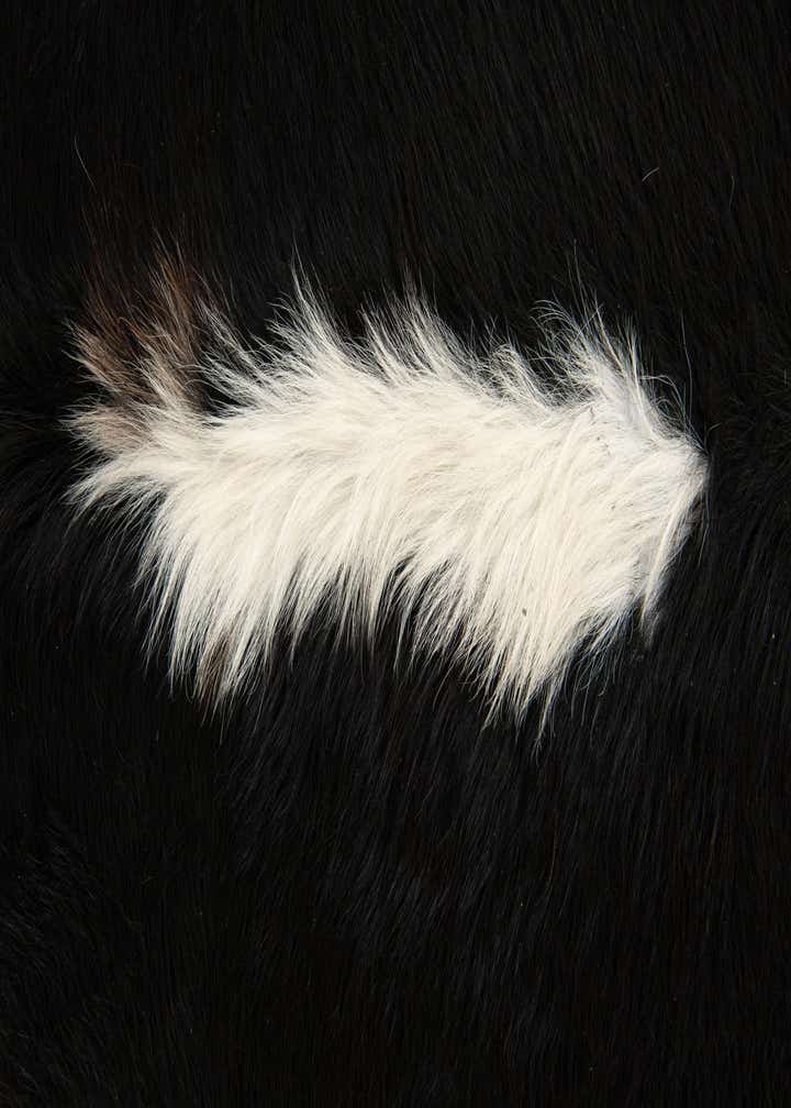 6' 4 x 6' 8 Cowhide Leather Square Rug
