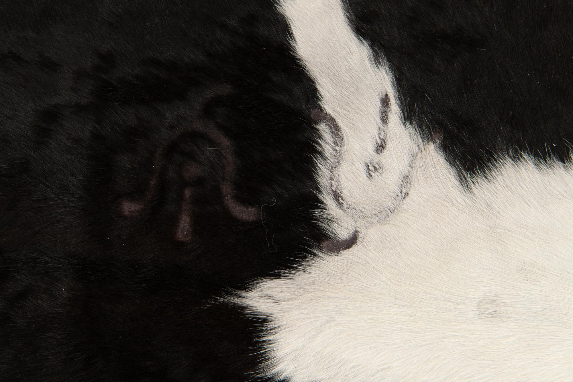 6' 1 x 6' 8 Cowhide Leather Square Rug