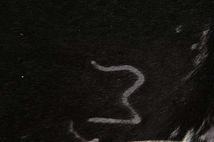 6' 2 x 6' 6 Cowhide Leather Square Rug