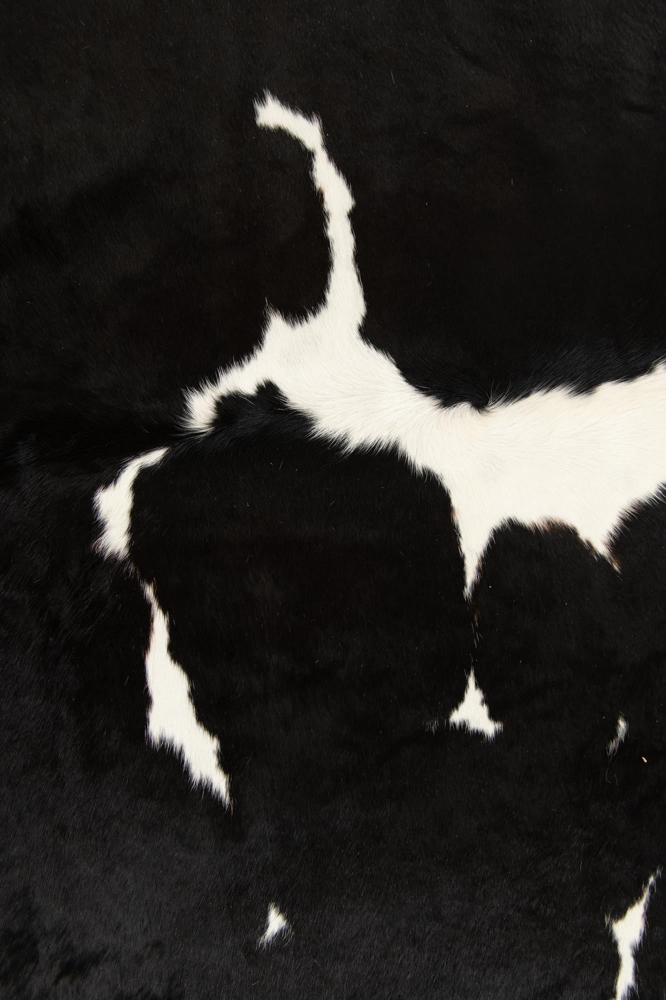 6' 2 x 6' 8 Cowhide Leather Square Rug