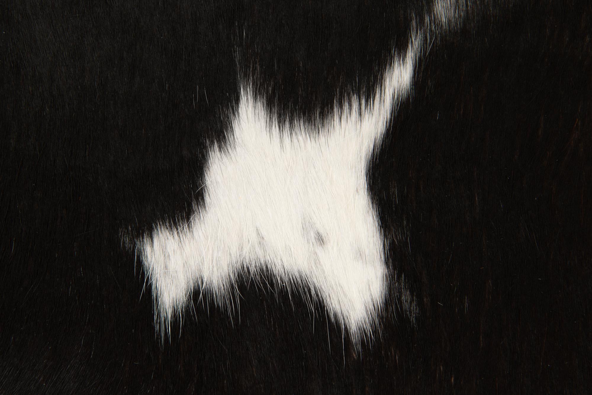 4' 8 x 5' 1 Cowhide Leather Square Rug