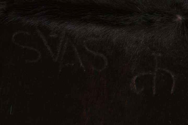 4' 8 x 5' 1 Cowhide Leather Square Rug