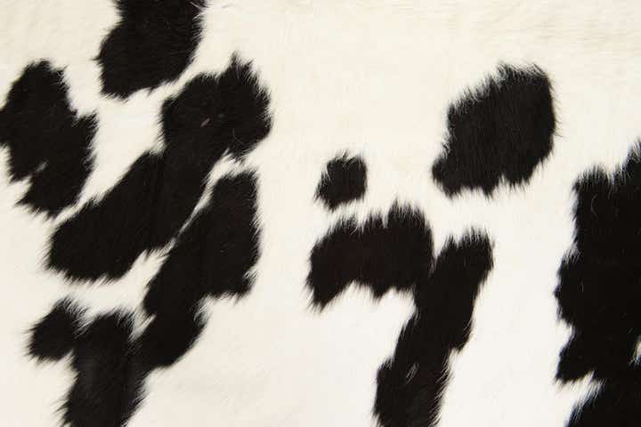4' 11 x 5' 7 Cowhide Leather Square Rug
