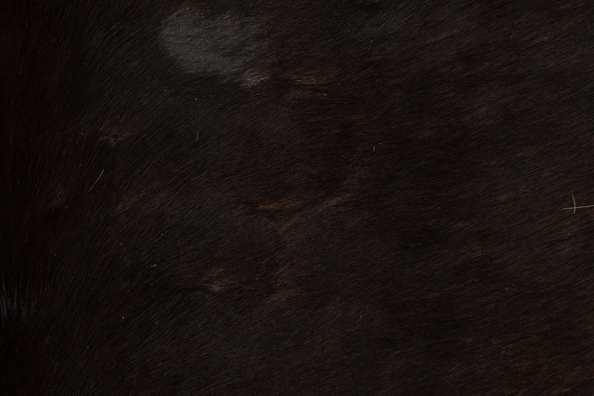 5' 10 x 6' 6 Cowhide Leather Square Rug