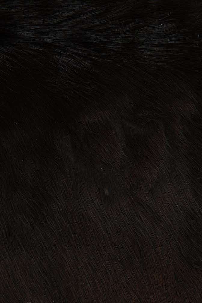 6' x 6' 2 Cowhide Leather Square Rug