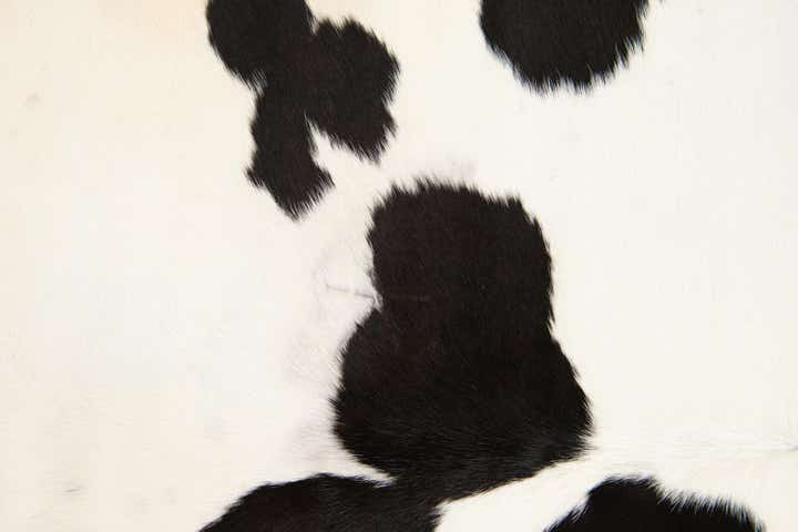 5' 5 x 5' 6 Cowhide Leather Square Rug