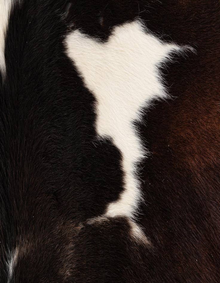 Detail image of 5' x 5' 2 Cowhide Leather Square Rug