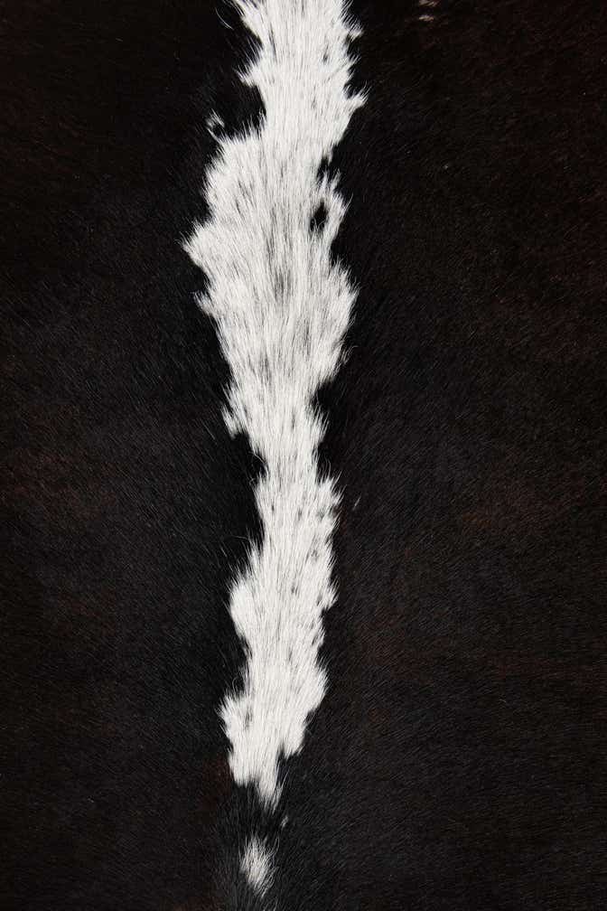 5' 5 x 5' 6 Cowhide Leather Square Rug