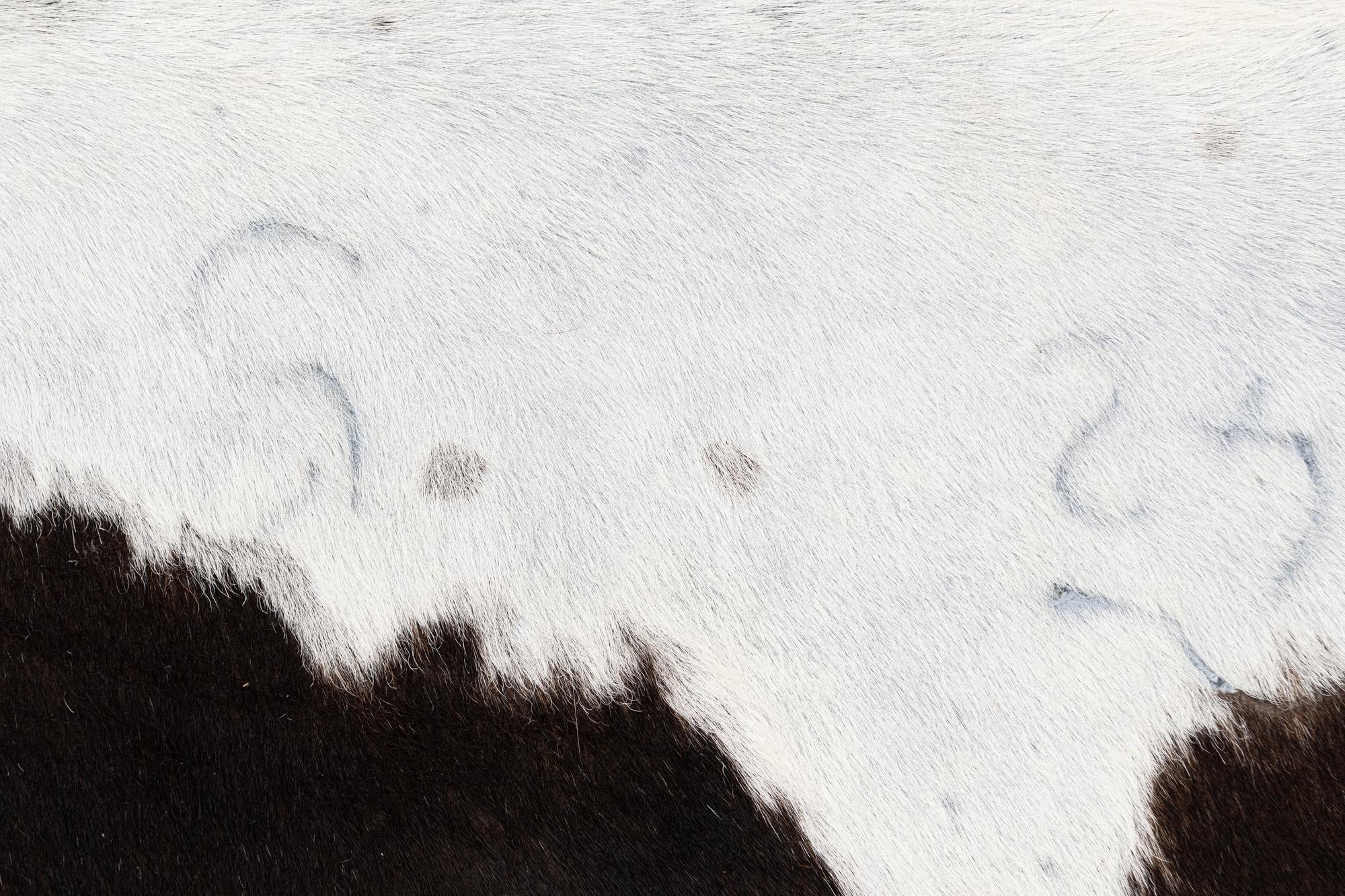 5' 7 x 5' 10 Cowhide Leather Square Rug