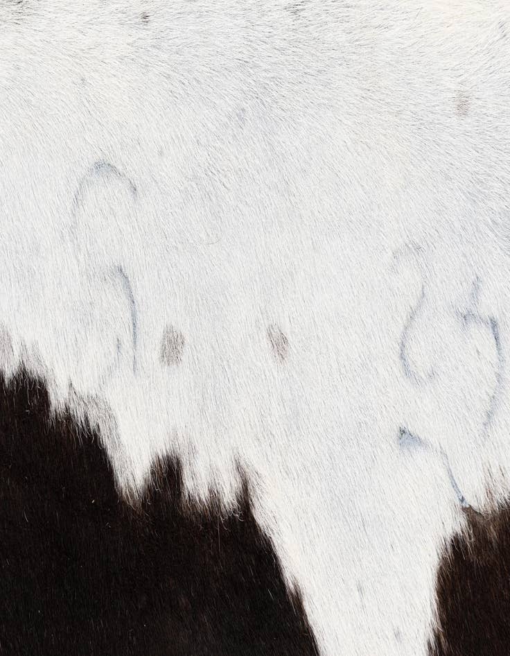 Detail image of 5' 7 x 5' 10 Cowhide Leather Square Rug