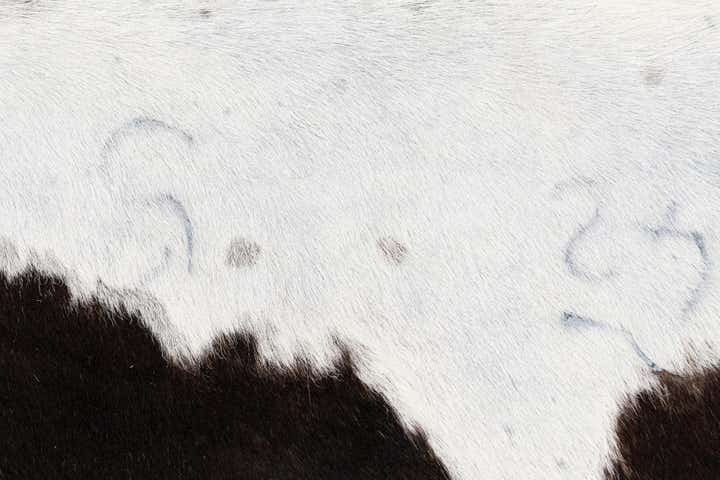 5' 7 x 5' 10 Cowhide Leather Square Rug