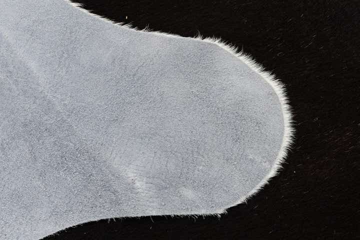 5' 7 x 5' 10 Cowhide Leather Square Rug