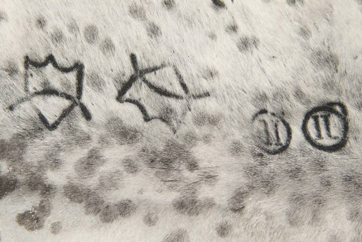 Detail image of 5' 1 x 5' 8 Cowhide Leather Square Rug