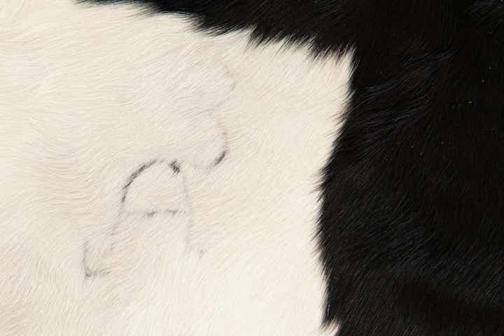 4' 9 x 4' 11 Cowhide Leather Square Rug