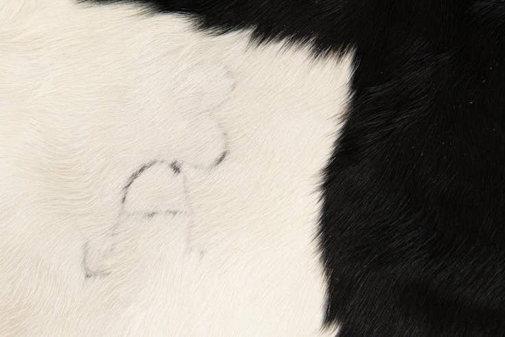 Detail image of 4' 9 x 4' 11 Cowhide Leather Square Rug