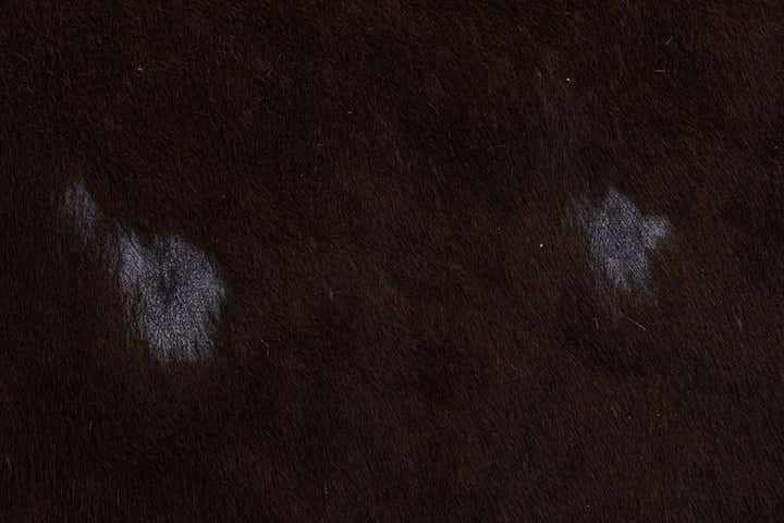 4' 10 x 5' 7 Cowhide Leather Square Rug
