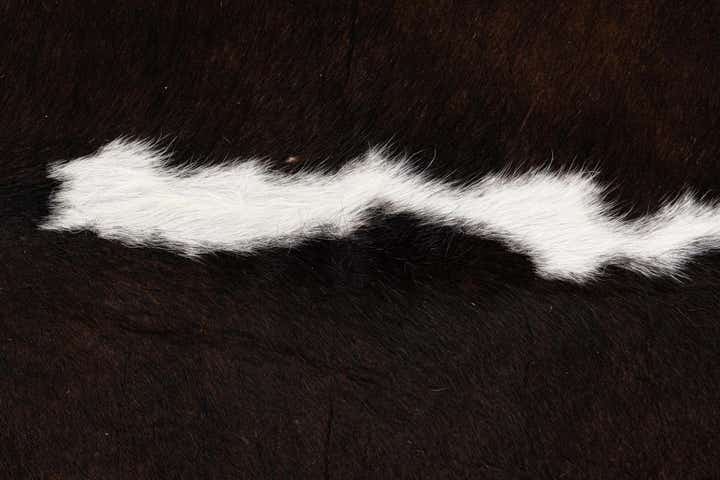 6' 3 x 6' 10 Cowhide Leather Square Rug