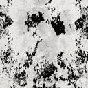 Color variant